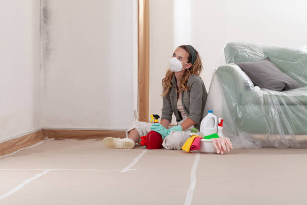 Reliable Mold Cleanup contractor in White Hall, MD by Cheap Mold Removal